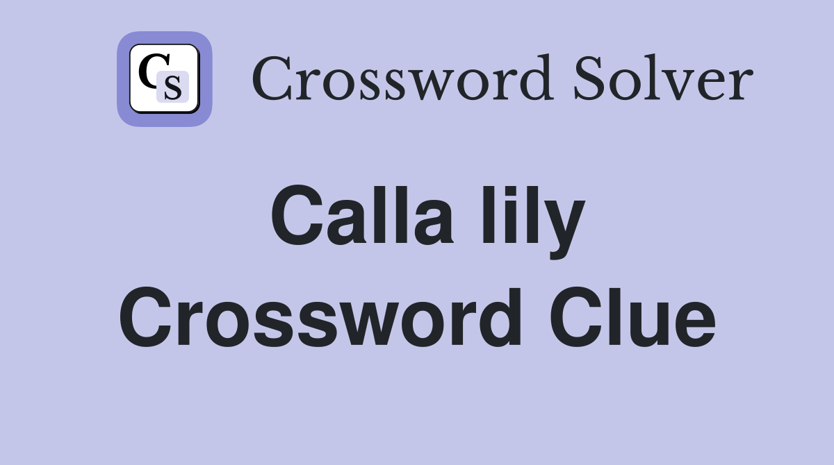 Calla lily Crossword Clue Answers Crossword Solver